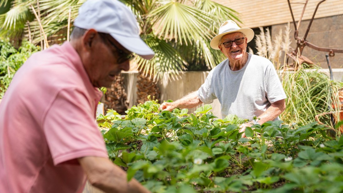 Jardineria i benestar en la tercera edat